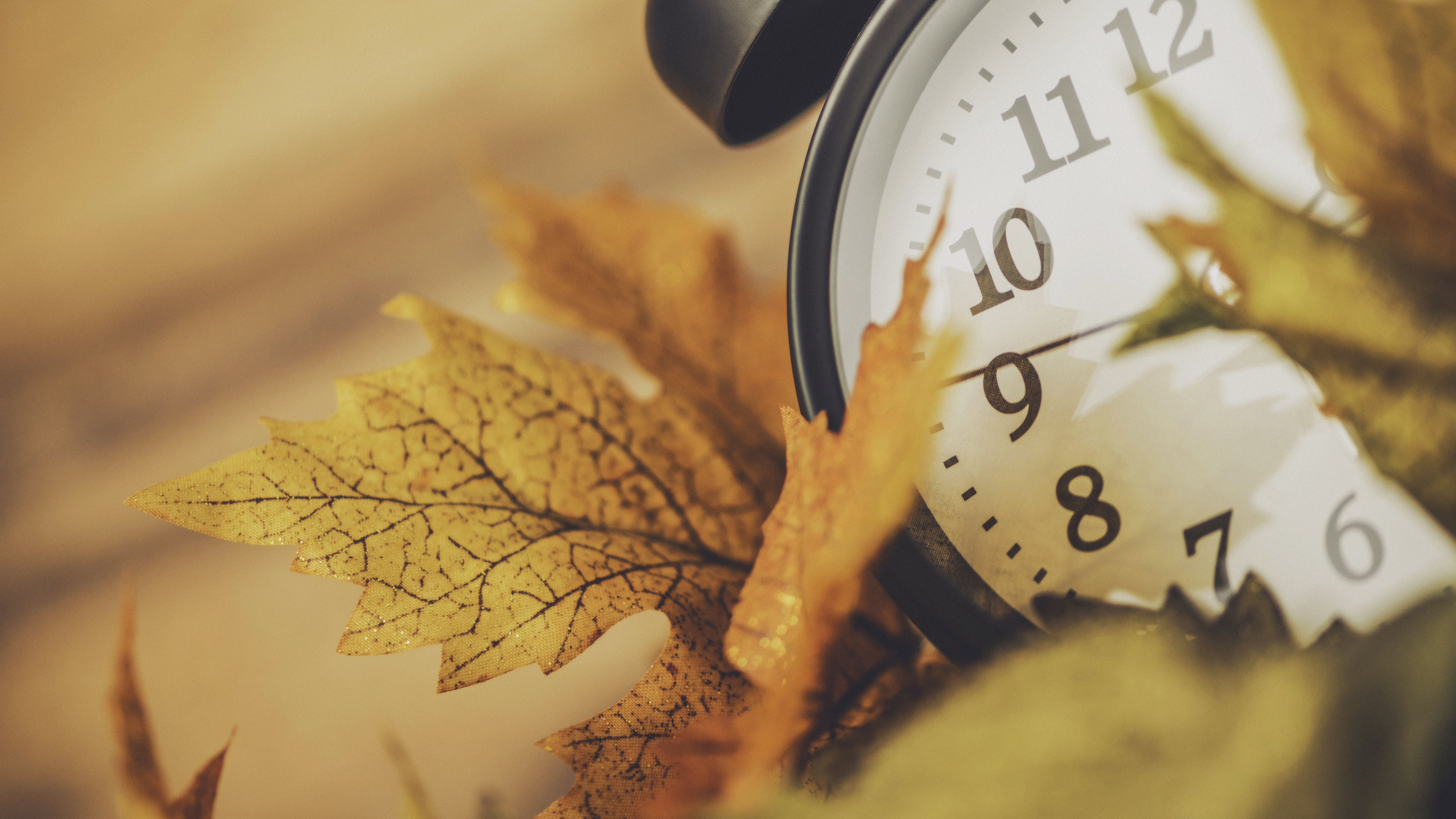 Daylight saving time ends each fall. (iStock/Getty Images Plus)