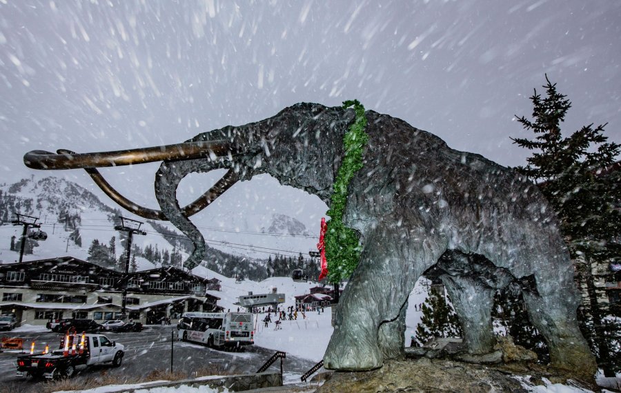 Mammoth Mountain received more than four feet of fresh snow between Dec. 14, 22021, and Dec. 15, 2021. (Dakota Snider/ MLT)