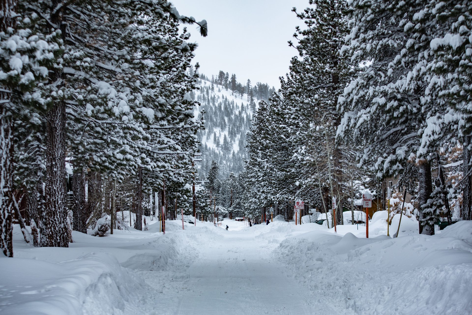 Mammoth Mountain received more than four feet of fresh snow between Dec. 14, 22021, and Dec. 15, 2021. (Dakota Snider/ MLT)