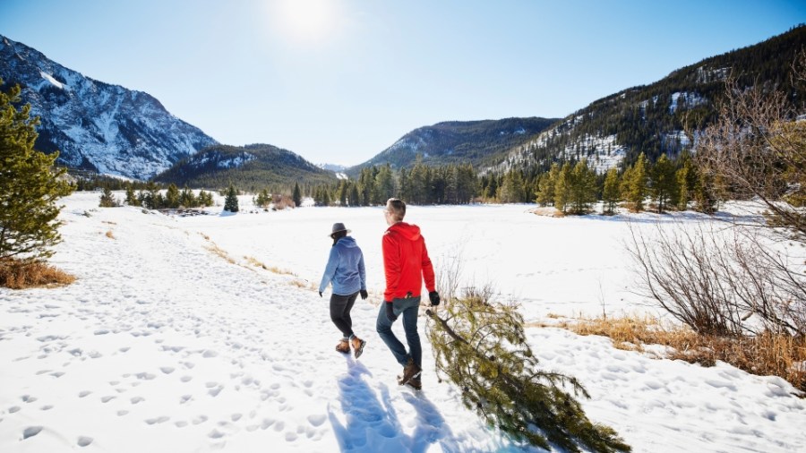 Wide shot of couple dragging freshly cut Christmas tree through snow on sunny winter afternoon (Getty).