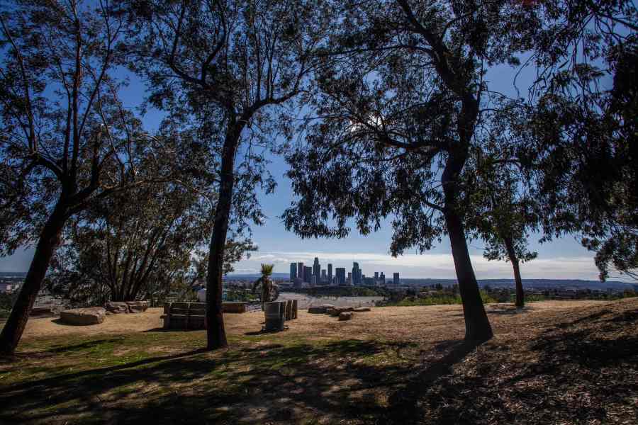 The Downtown Los Angeles skyline is seen from Elysian Park on March 21, 2020. (APU GOMES/AFP via Getty Images)