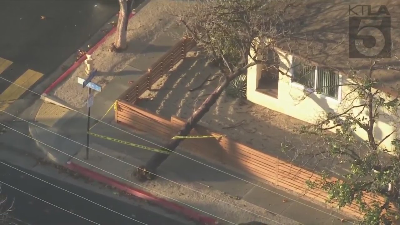 A tree fell onto a house in Long Beach on Dec. 14, 2021, but no one was injured. (KTLA)