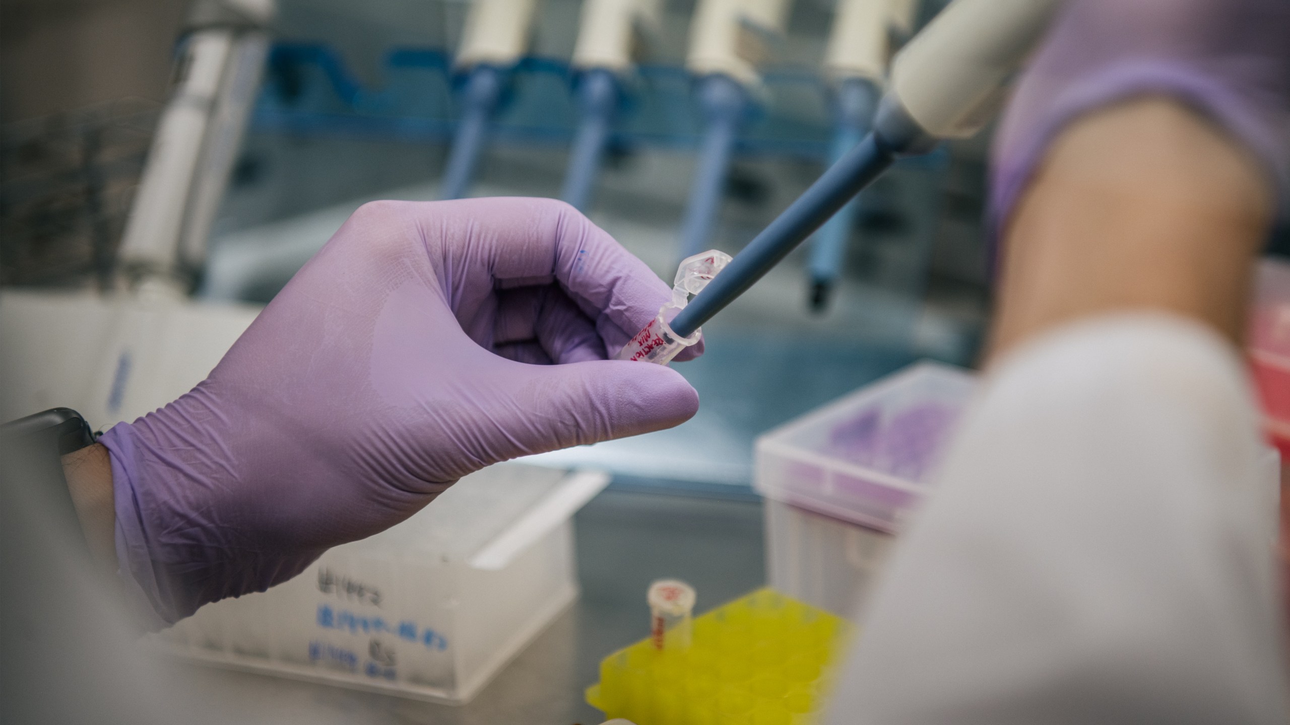 A laboratory technician analyzes COVID-19 samples on Aug. 13, 2021 in Houston, Texas. (Brandon Bell/Getty Images)