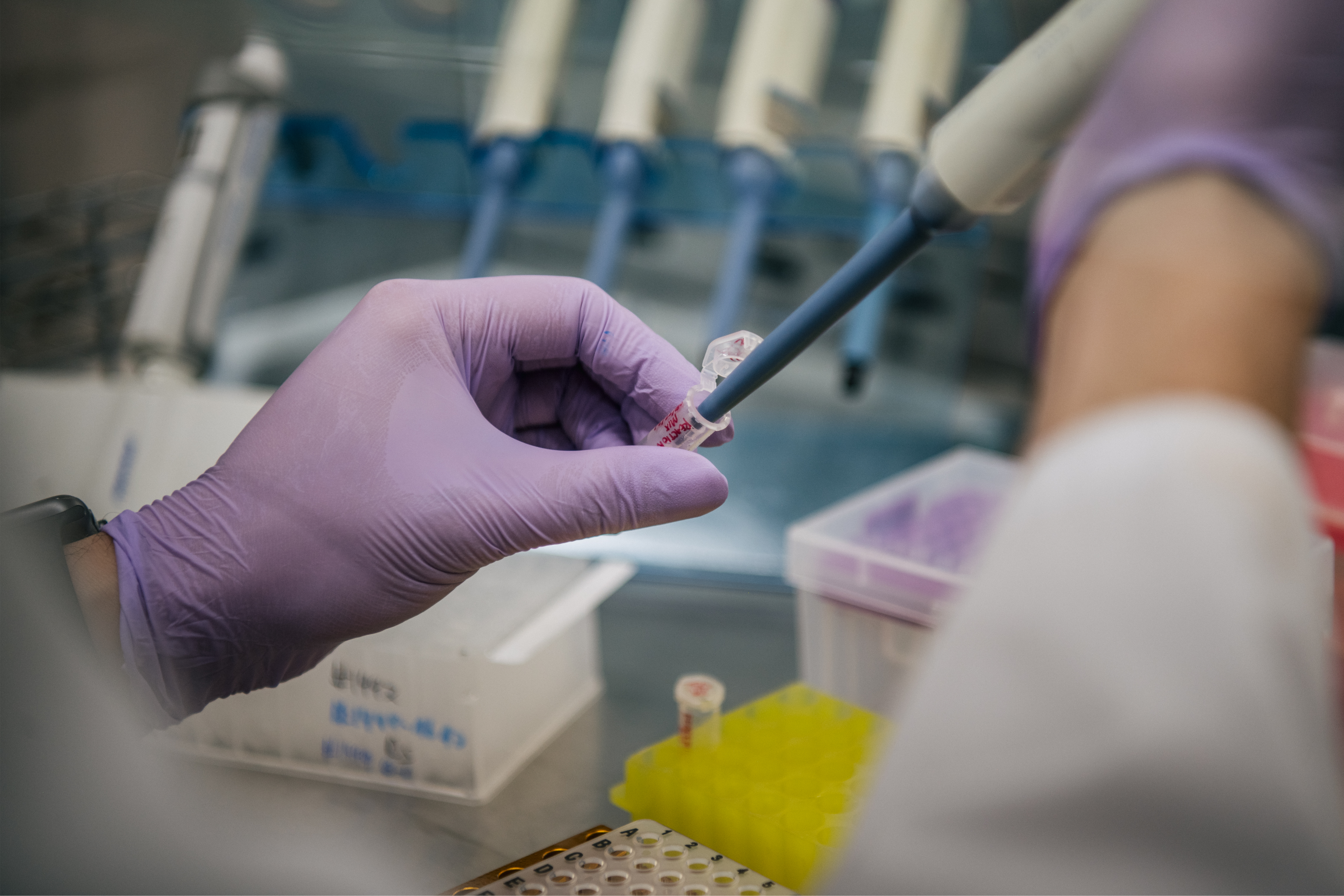 A laboratory technician analyzes COVID-19 samples on Aug. 13, 2021 in Houston, Texas. (Brandon Bell/Getty Images)