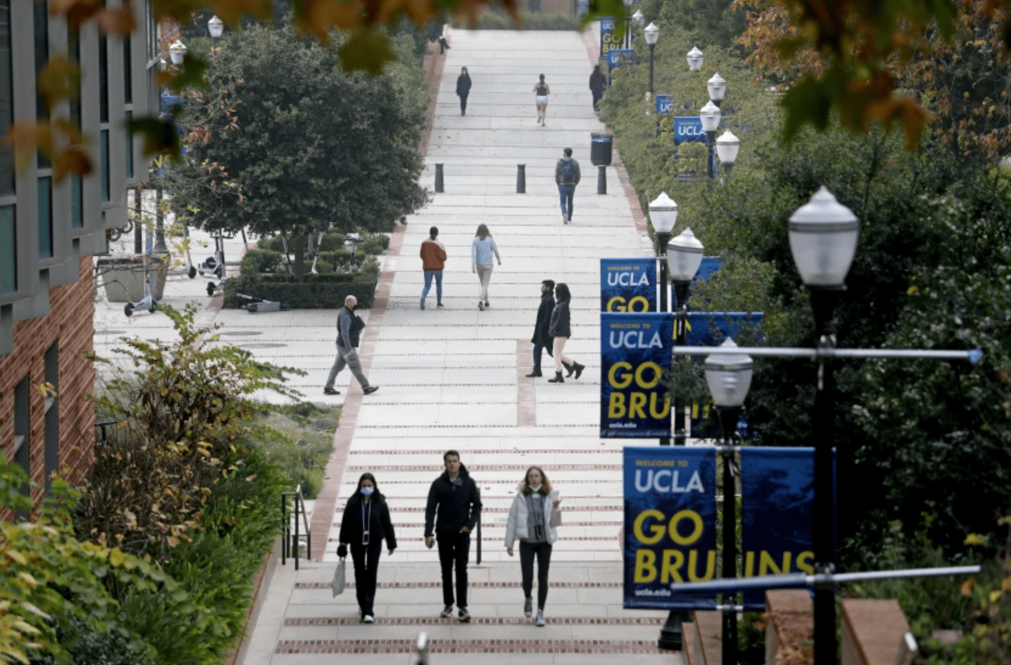 UCLA’s campus is seen on Jan. 7, 2022. (Gary Coronado / Los Angeles Times)