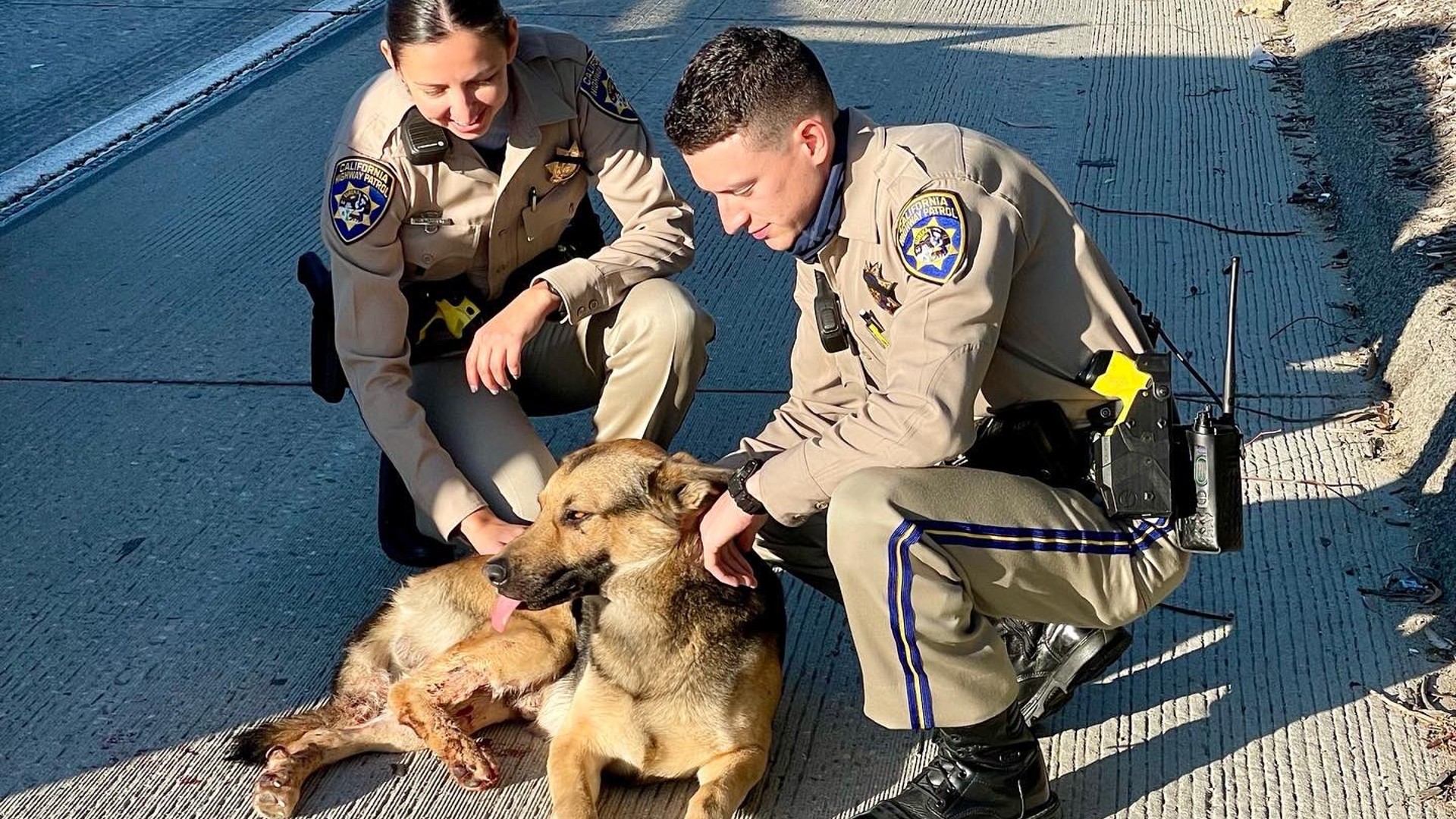 Officer McComb and Officer Chavez are seen with the dog in this photo released by the California Highway Patrol.