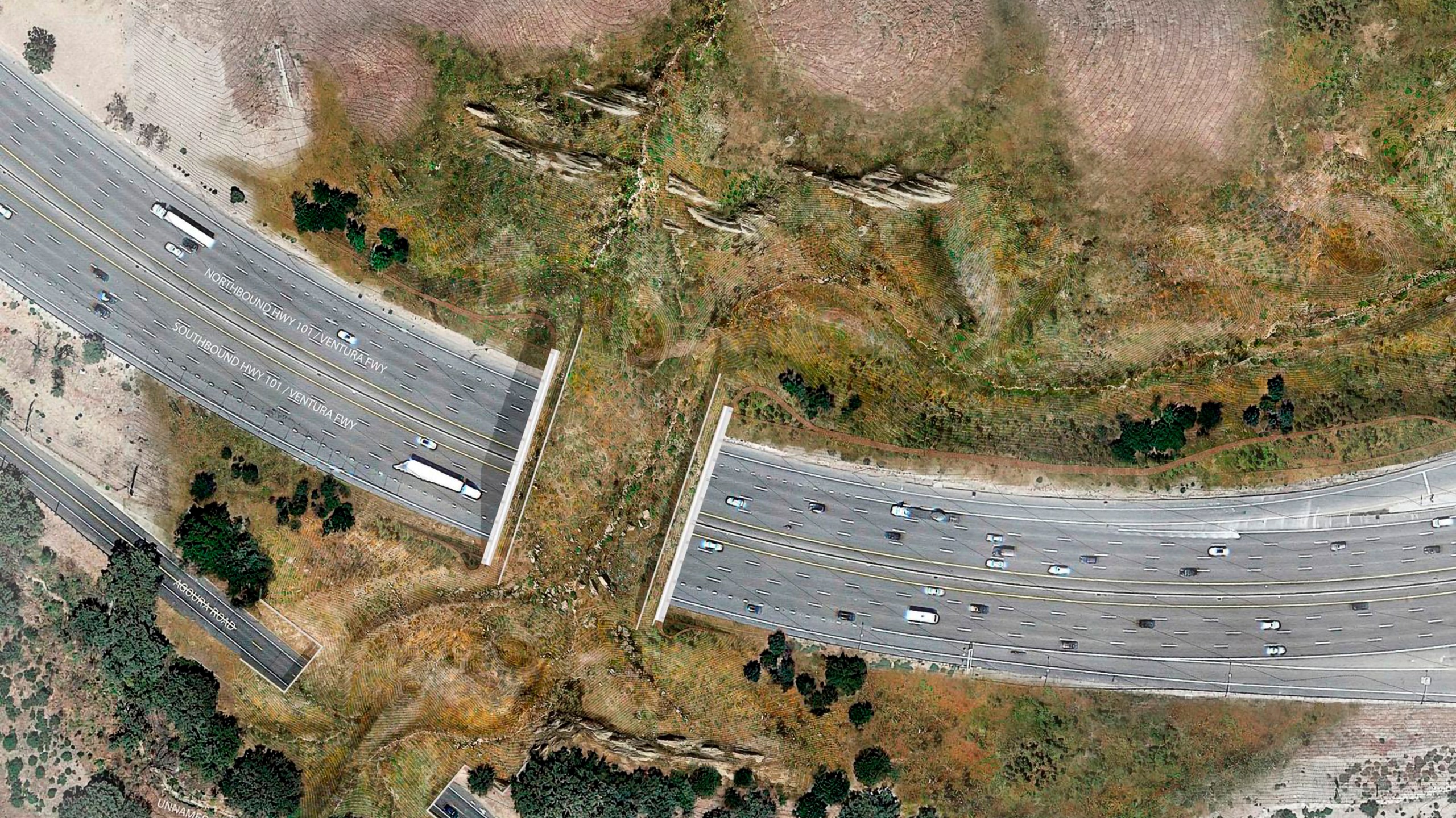 This undated illustration provided by the National Wildlife Federation shows a rendering of a wildlife bridge crossing over U.S. Highway 101 between two separate open space preserves on conservancy lands in the Santa Monica Mountains in Agoura Hills.