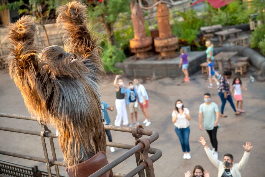 Chewbacca is seen at Disneyland Park on July 14, 2020 in Anaheim in this promotional photo. (Walt Disney World Resorts via Getty Images)