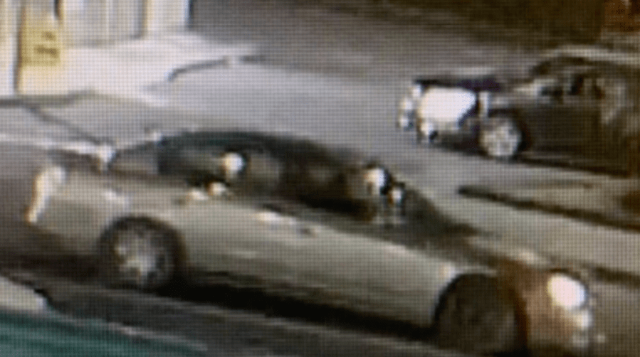 LAPD released this image of the suspected hit-and-run driver's vehicle.