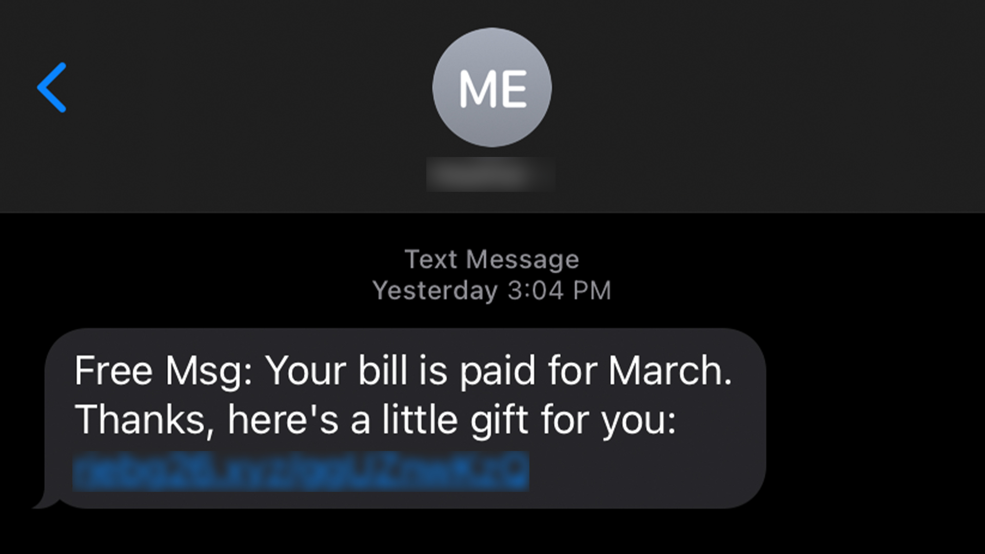 Many Verizon customers reported receiving scam text messages on March 29, 2022. (WFLA)