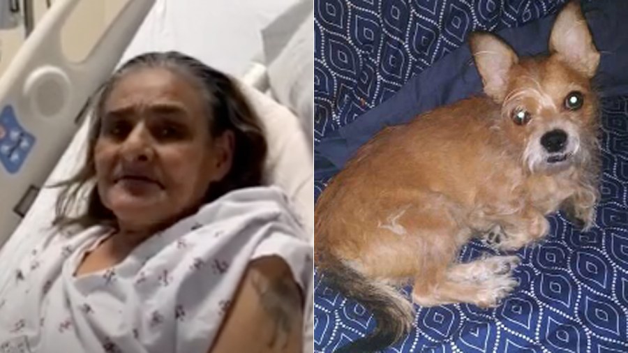 LAPD released these images of Sandra Martin and her dog Little Man on March 4, 2022.