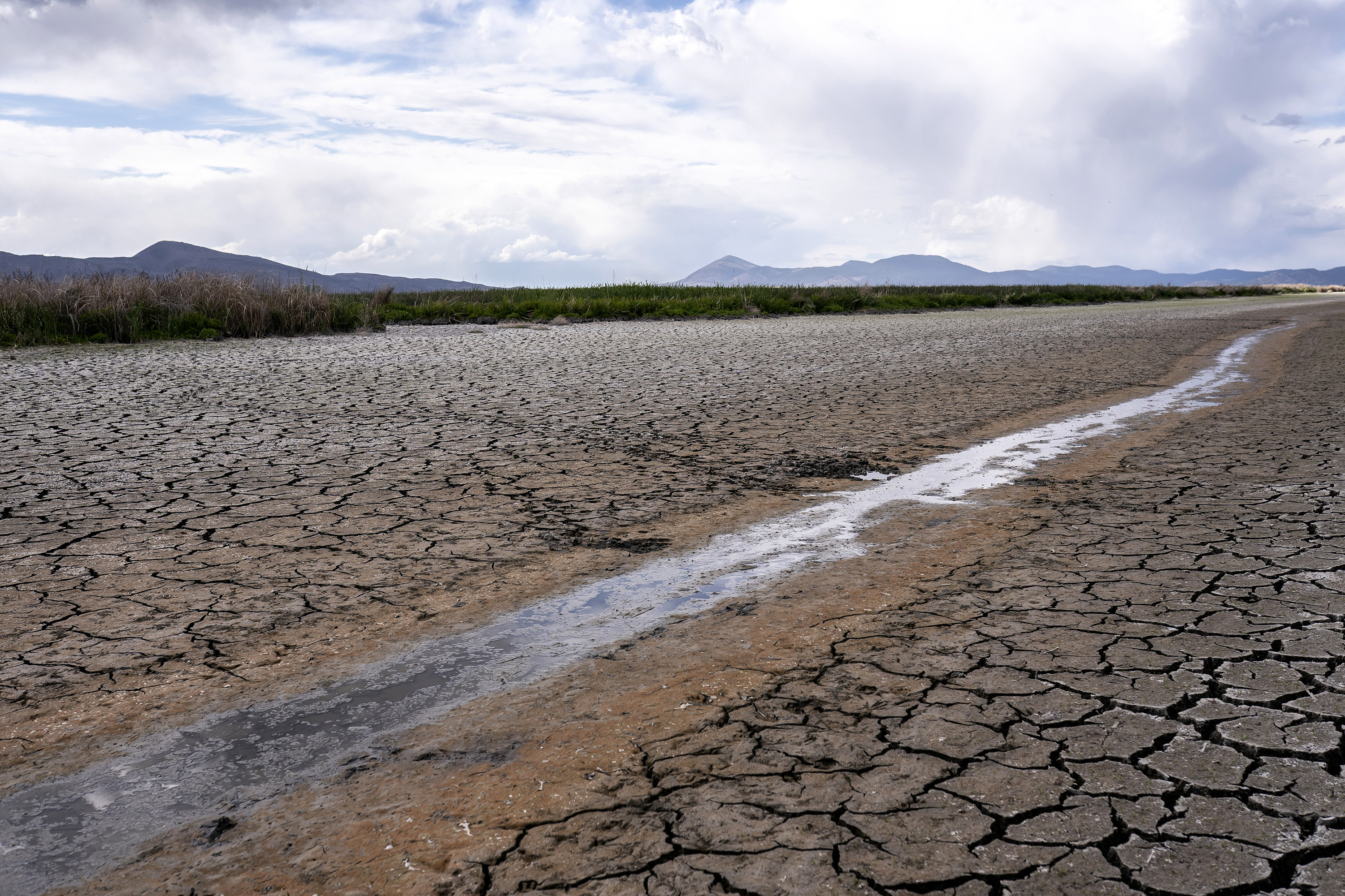 A small stream runs through the dried, cracked earth of a former wetland near Tulelake, Calif., on June 9, 2021. (Nathan Howard/Associated Press)