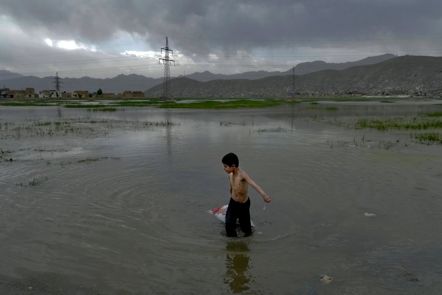 A boy collects grass for sale, in Kabul, Afghanistan on May 9, 2022. Some 1.1 million Afghan children under the age of five will face malnutrition by the end of the year. (Ebrahim Noroozi/Associated Press)