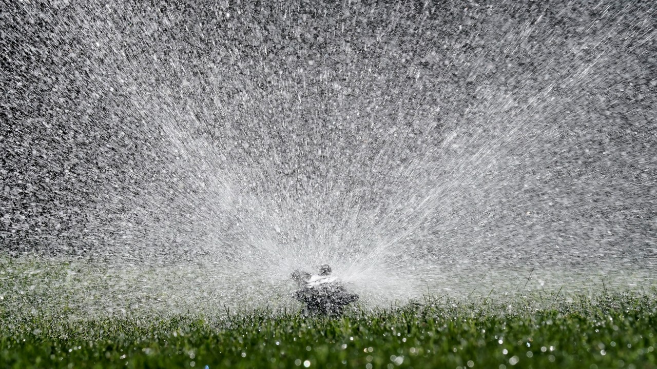 Water flies from a sprinkler watering a lawn, in Sacramento, Calif., Tuesday, May 10, 2022. (AP Photo/Rich Pedroncelli)