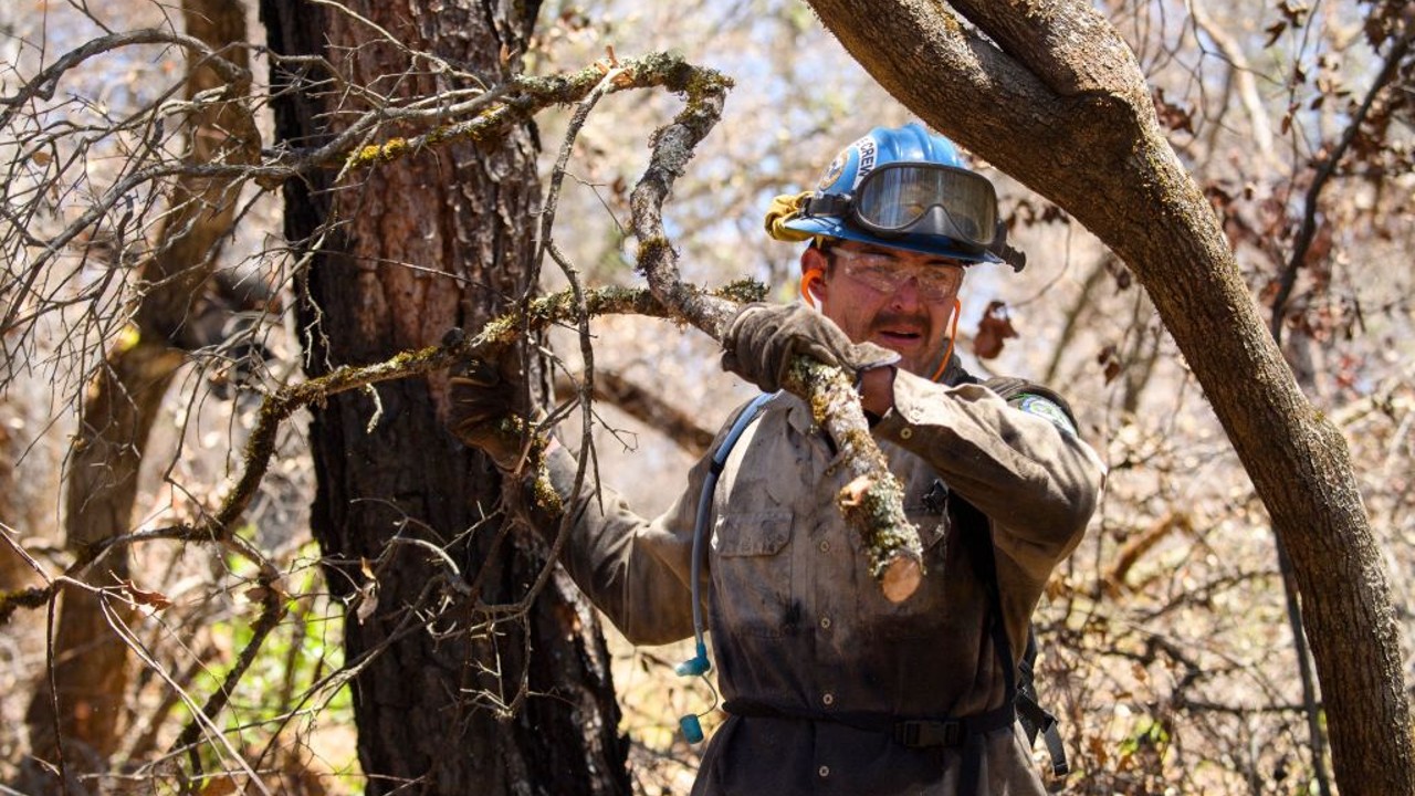 A California Conservation Corps firefighter carries a branch toward a wood chipper during a fuel reduction operation with the Cal Fire/Butte County Fire Department near Lake Oroville on May 26, 2021 in Oroville. (Photo by PATRICK T. FALLON/AFP via Getty Images)