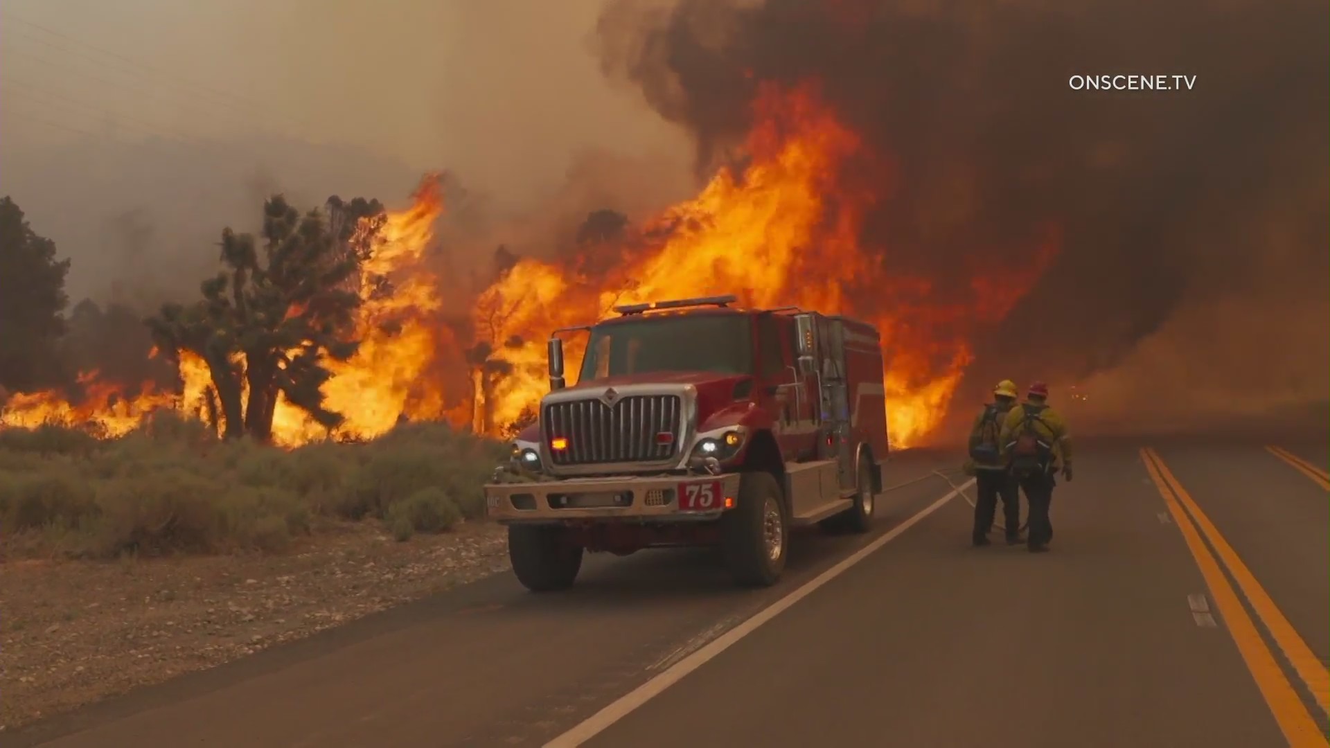 The Sheep Fire burns on June 12, 2022. (Onscene.TV)