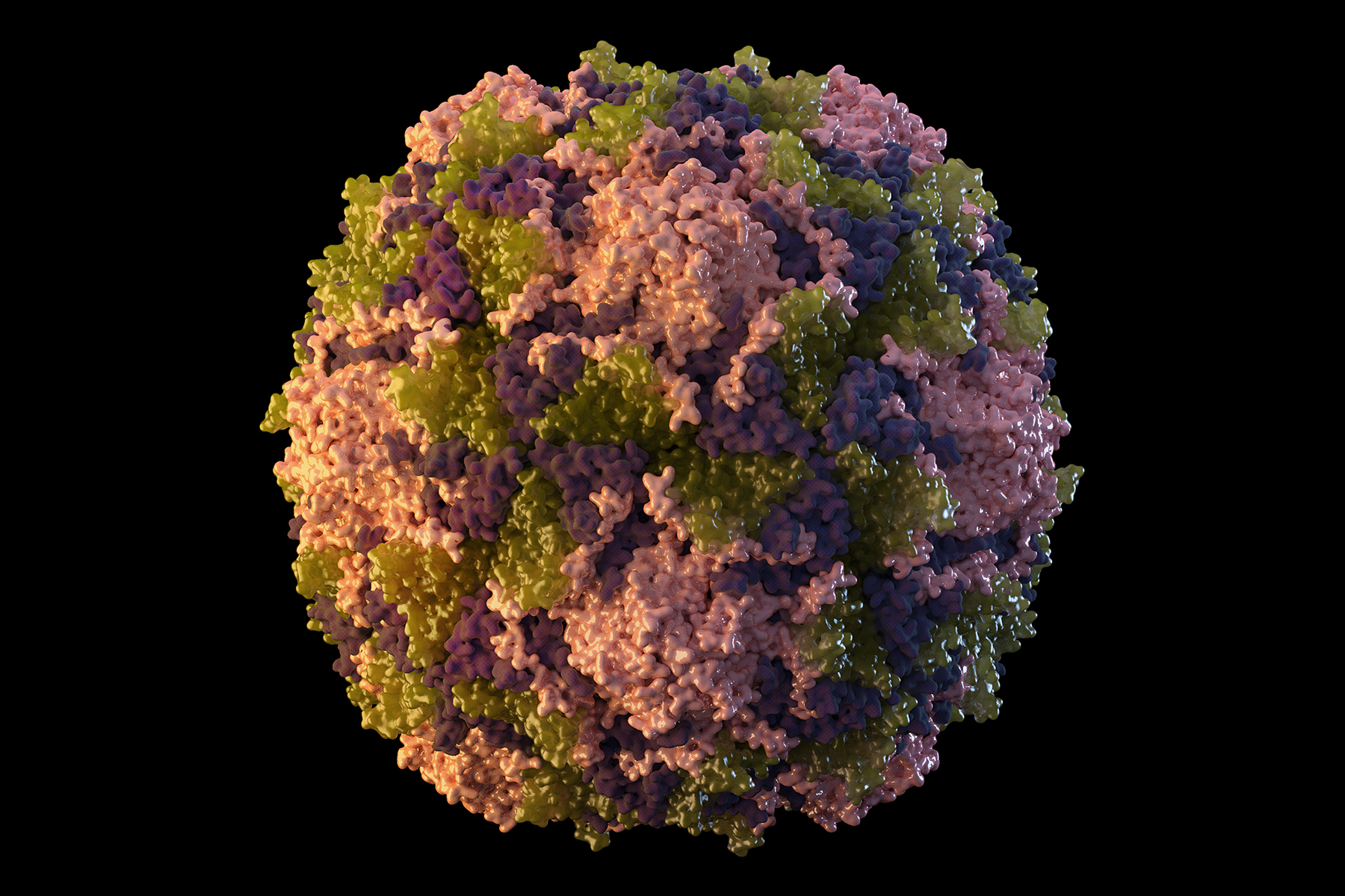 This 2014 illustration made available by the U.S. Centers for Disease Control and Prevention depicts a polio virus particle. (Sarah Poser, Meredith Boyter Newlove/CDC via AP)