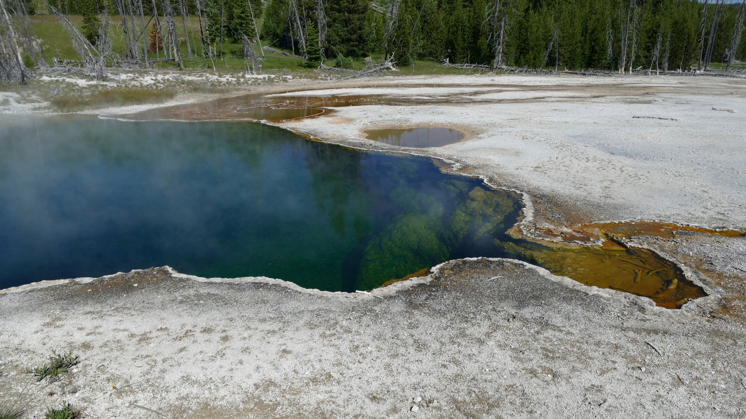 Yellowstone Hot Spring Foot Found