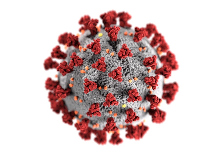 Coronavirus illustration