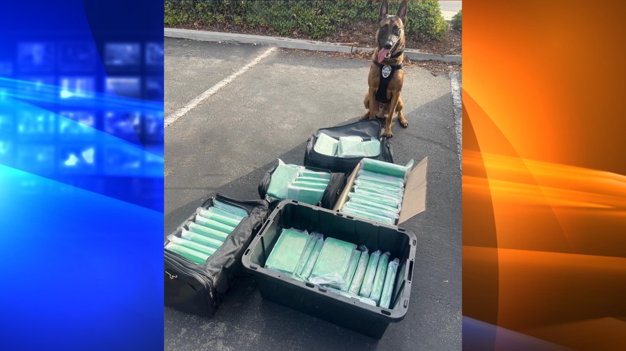 Arcadia K-9 officer Kruz found 80 kilograms of cocaine in a traffic stop on Oct. 23, 2022, police said. (Arcadia Police Department)