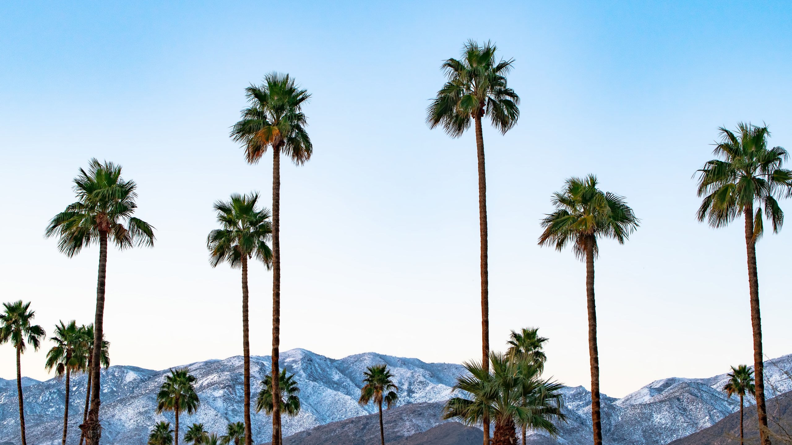 California cities ranked the best winter destination for "warm weather lovers":