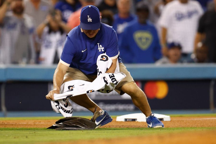 Goose at Dodgers-Padres NLDS Game 2