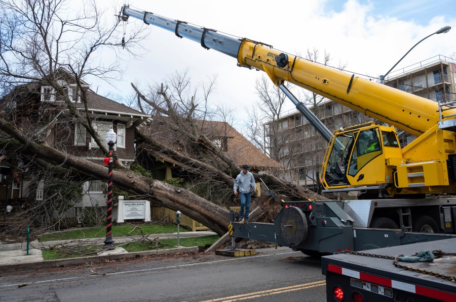 Crane operator Ricky Kapuschinsky, with AAA Crane, gets ready to lift uprooted trees on Capitol Avenue and 27th Street in midtown after a storm brought high winds overnight in Sacramento on Jan. 8, 2023. (Sara Nevis/The Sacramento Bee via AP)