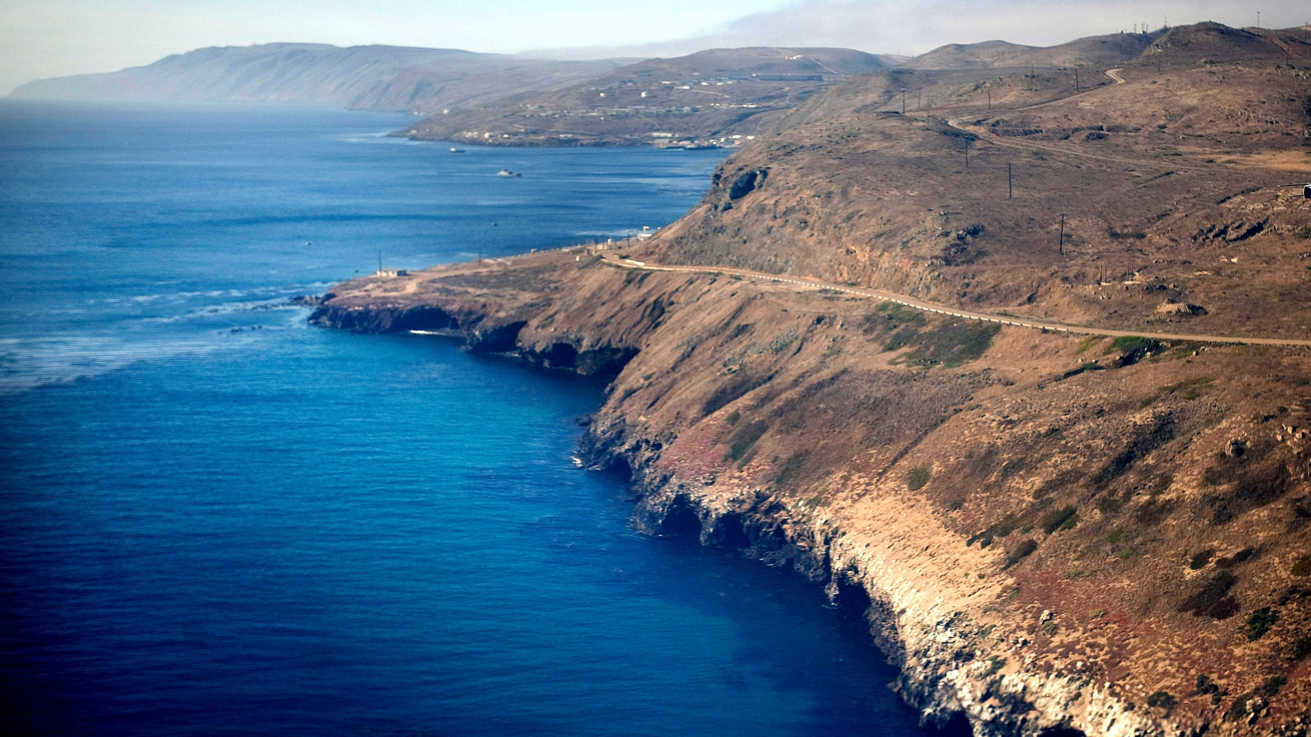 Species Recovery California Island