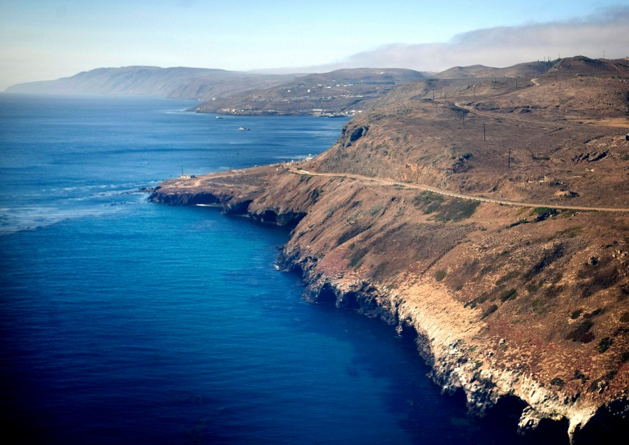 Species Recovery California Island