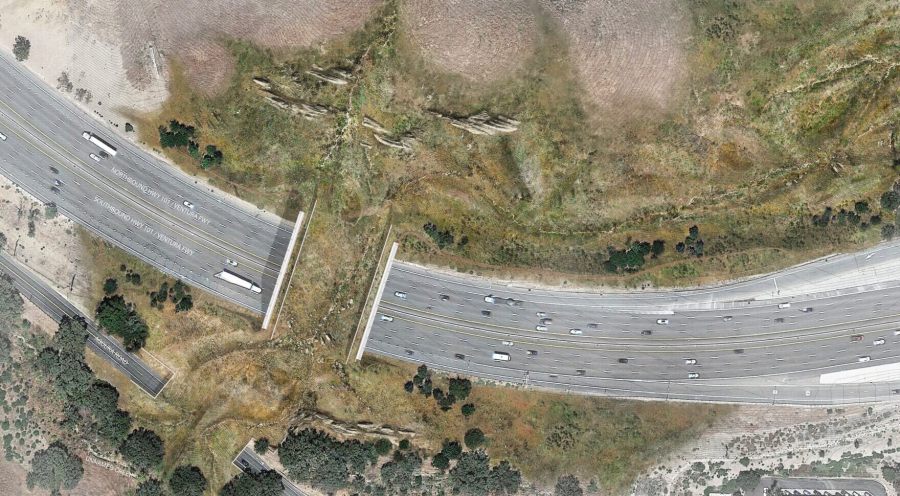 A rendering of the wildlife crossing over the 101 Freeway in Agoura Hills. (Wallis Annenberg Foundation)