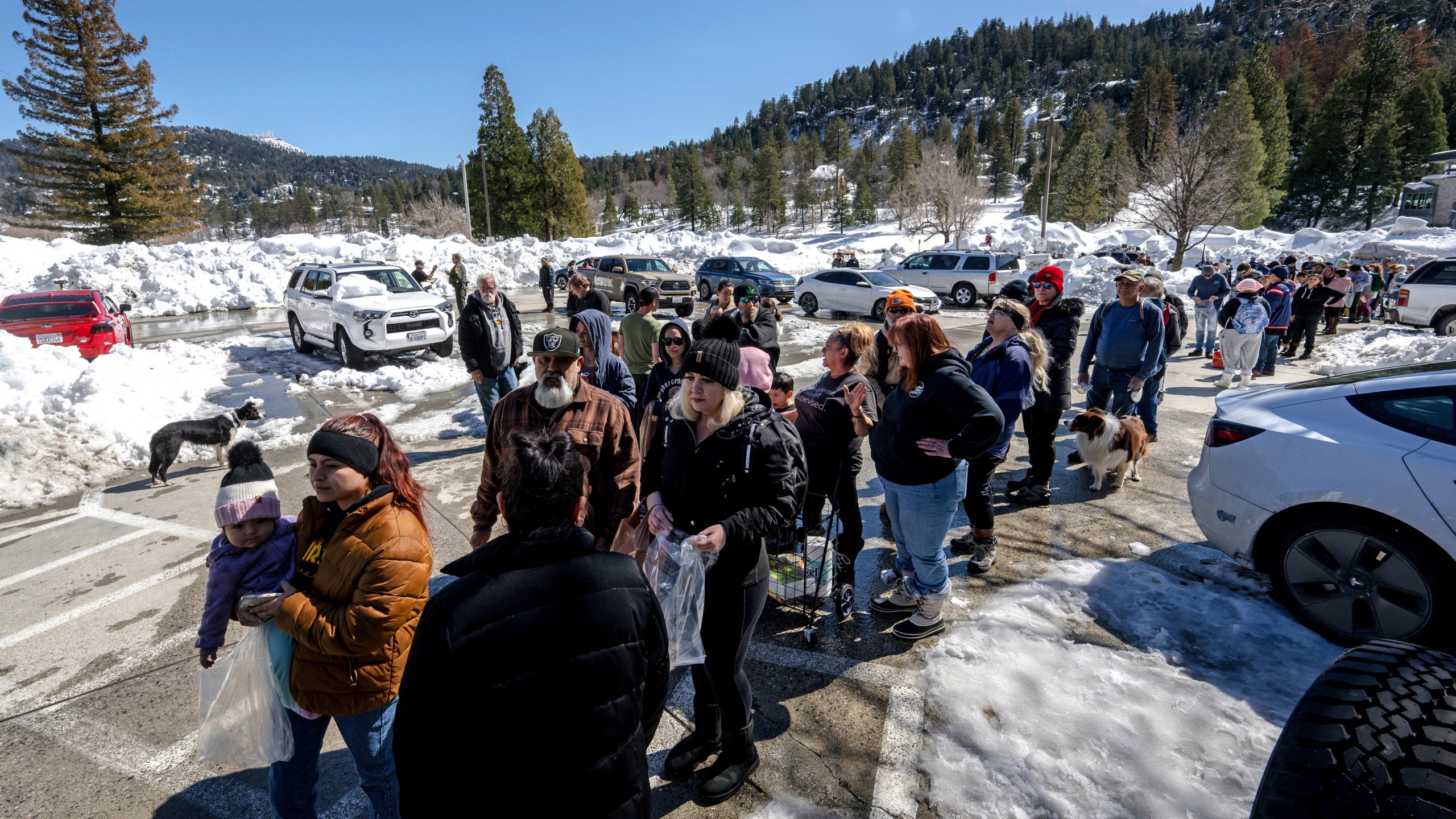 California Snow The Stranded