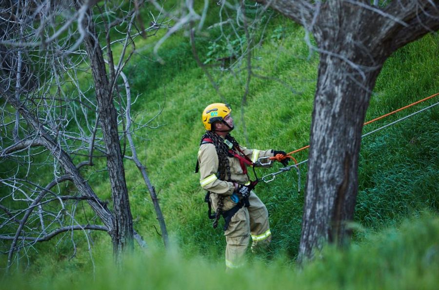 Rescue efforts after a woman drove off an embankment in Beverly Crest on Feb. 4, 2023. (LAFD)