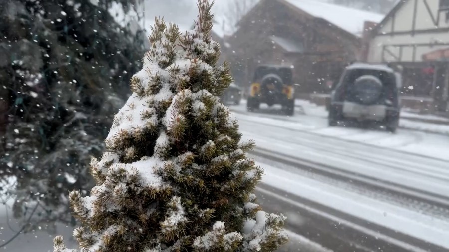 Snow in Big Bear