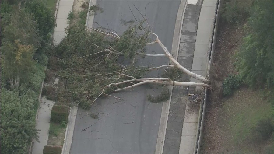 La Mirada Tornado