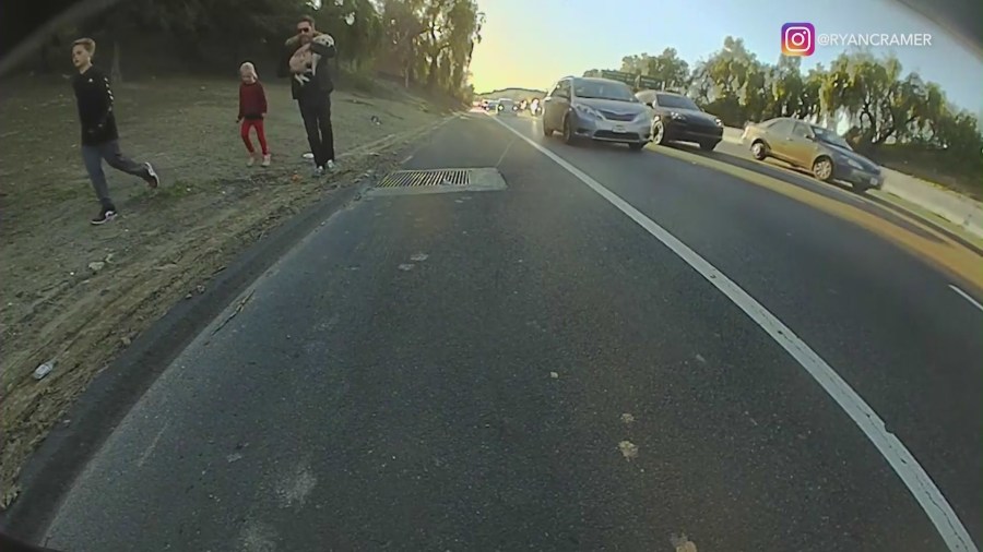 Terrifying footage captured the moment a puppy leaps out of a moving vehicle on the 101 freeway in Woodland Hills. (Ryan Cramer)