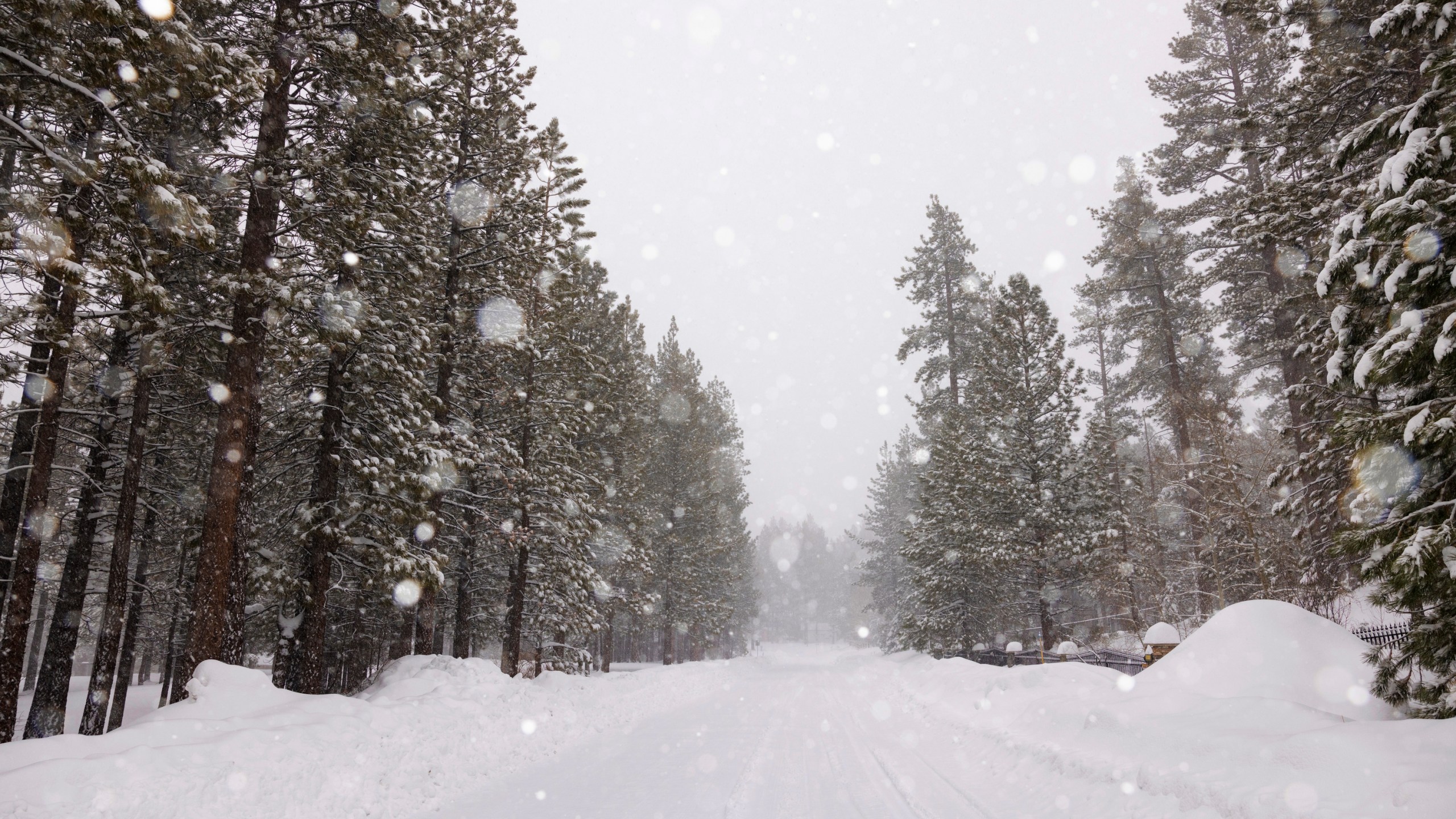 Big Bear Snow