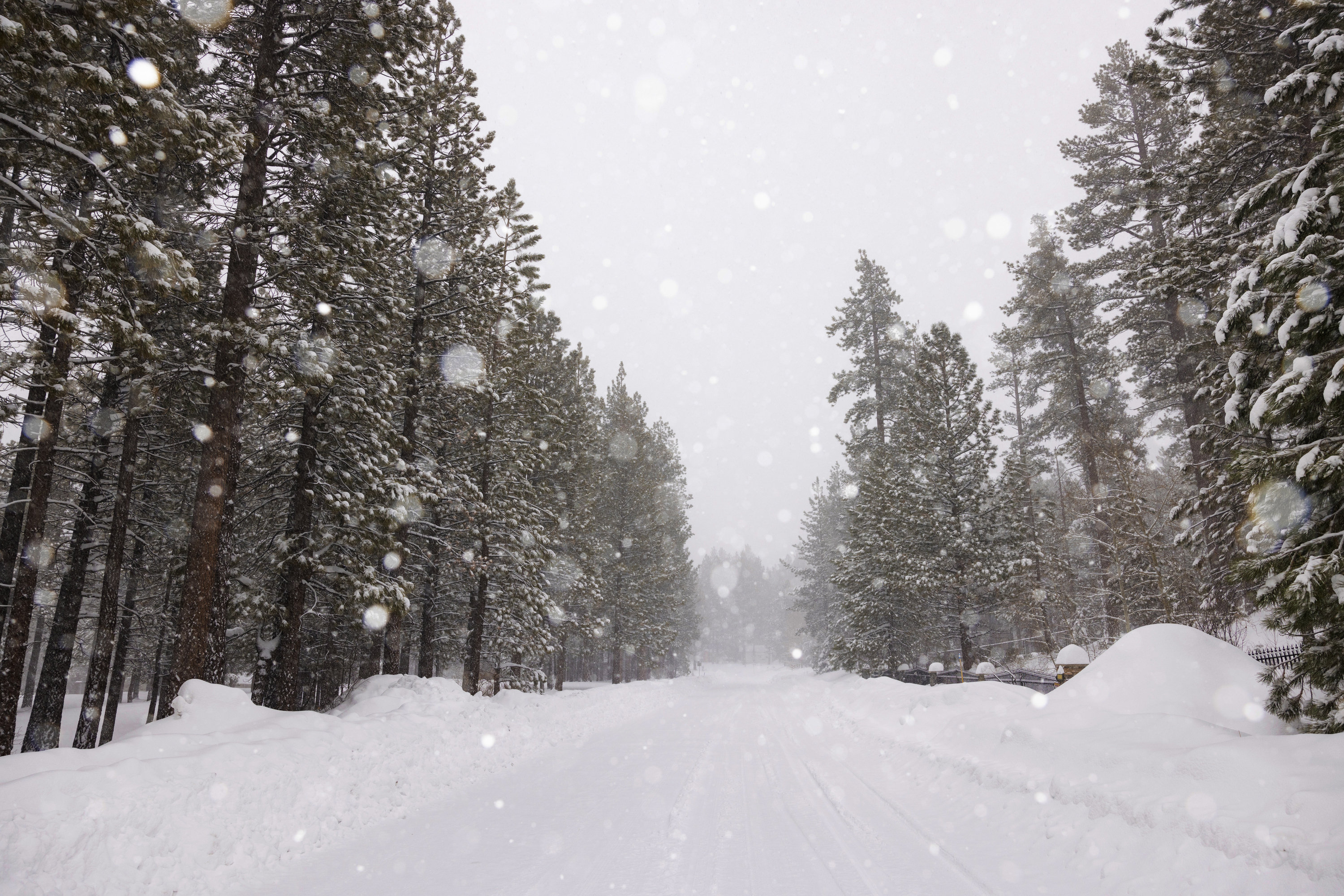 Big Bear Snow