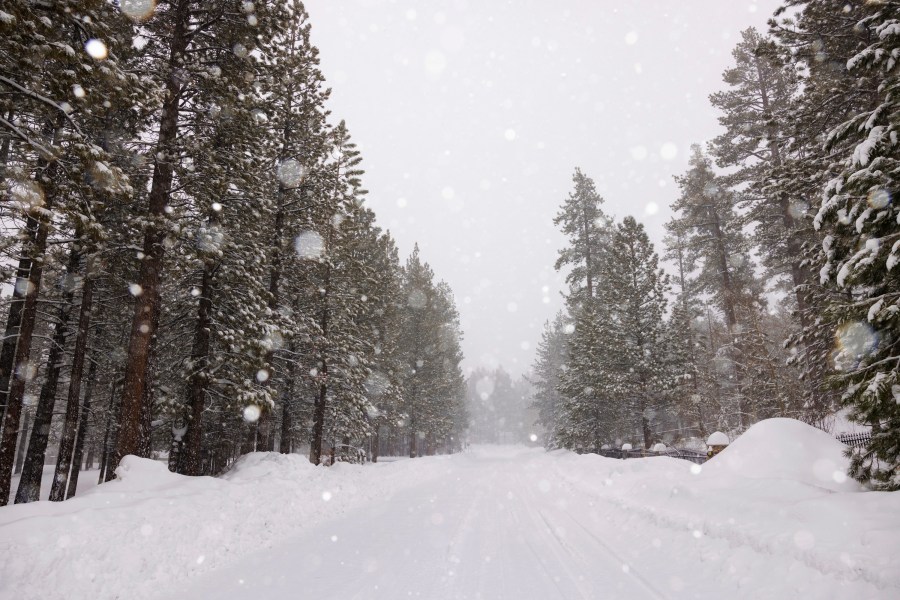 Big Bear Snow