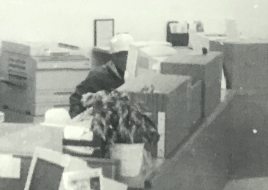 A masked suspect is seen in a photo released by the Ventura County Sheriff's Office.