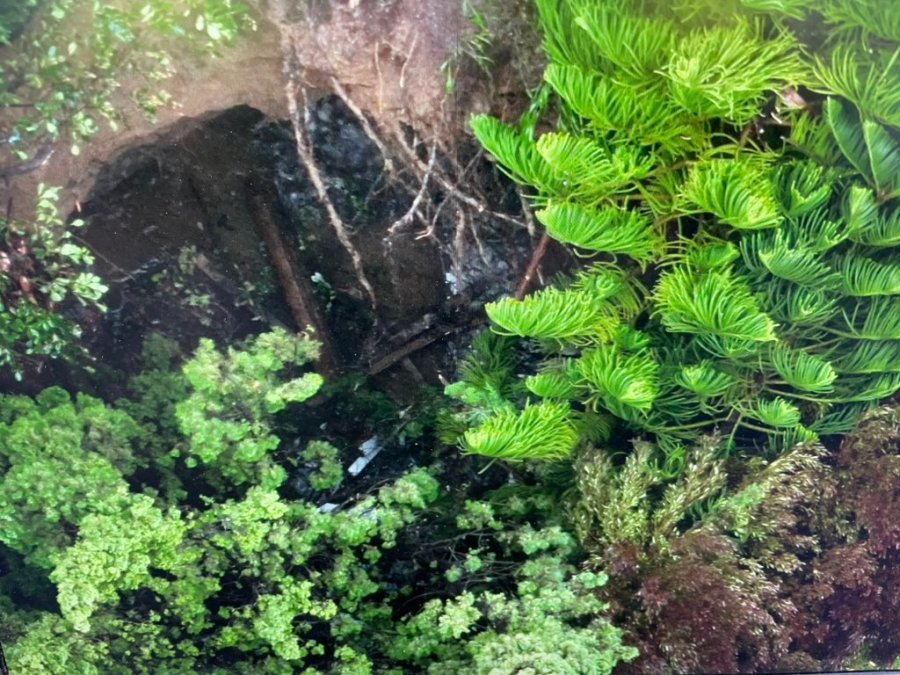 The Ventura County Fire Department released this image of a sinkhole in Camarillo that forced evacuations on March 10, 2023.