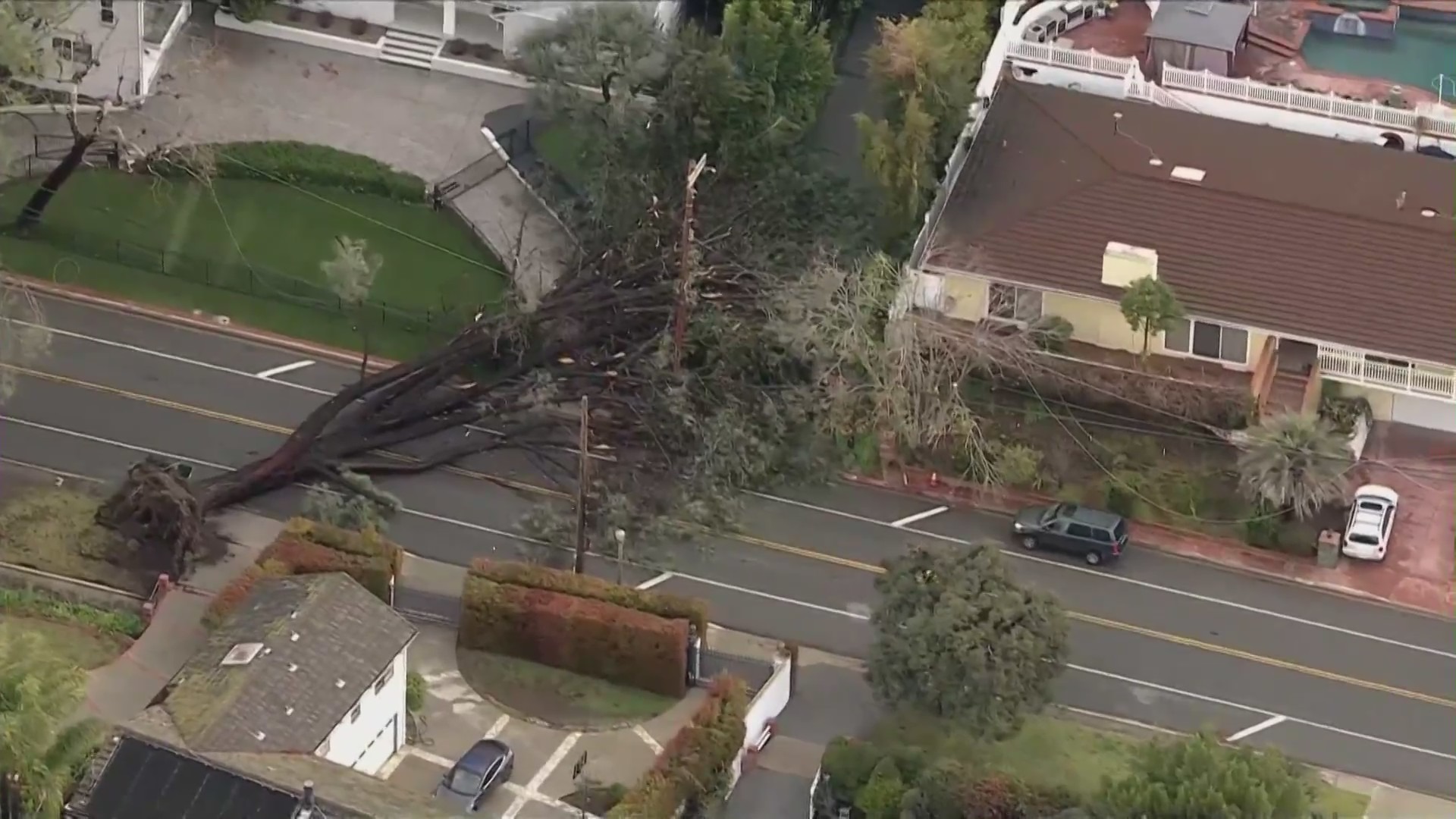 Tree downcausing sinkholes and mudslides. (KTLA)