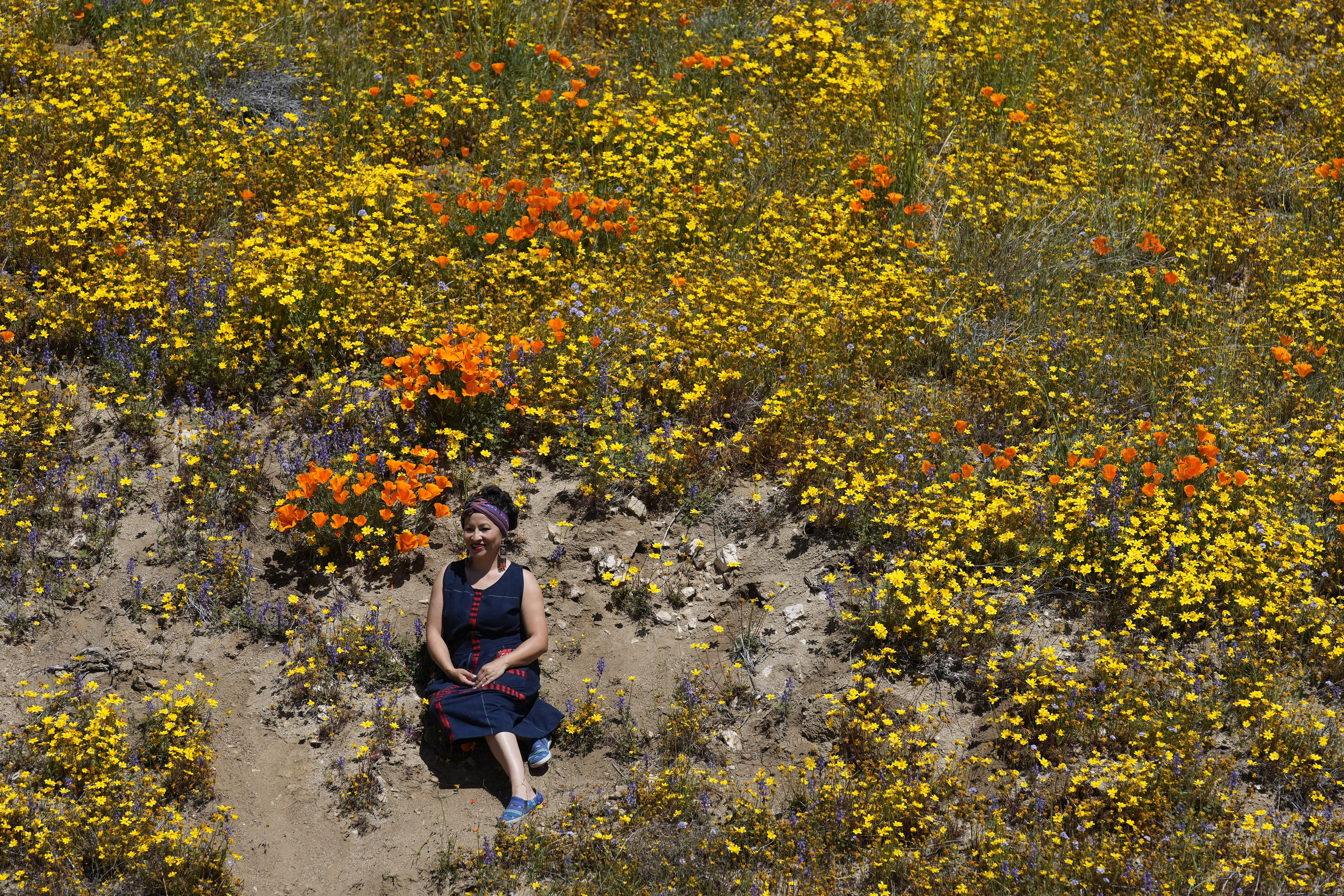 Poppy Superbloom