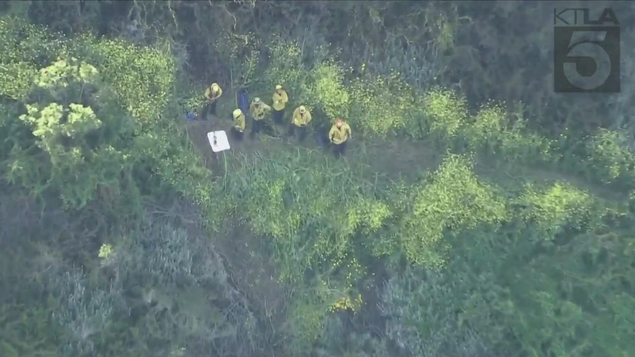 Crews working to rescue two horses trapped under heavy brush in Palos Verdes on April 28, 2023. (KTLA)