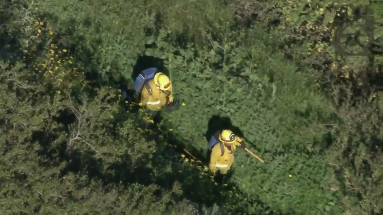 Crews working to rescue two horses trapped under heavy brush in Palos Verdes on April 28, 2023. (KTLA)