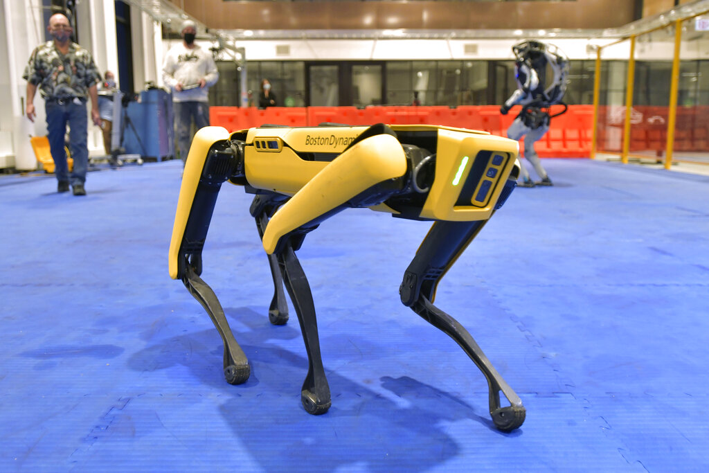 Marc Raibert, left rear, founder and chair of Boston Dynamics watches one of the company's Spot robots during a demonstration, Wednesday, Jan. 13, 2021, at their facilities in Waltham, Mass.(AP Photo/Josh Reynolds)