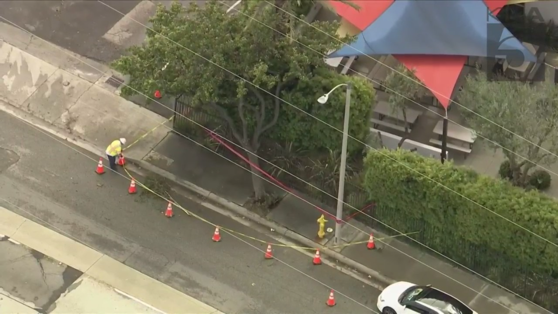 A worker places cones around a damage tree amid powerful rainstorms in Carson on May 4, 2023. (KTLA)