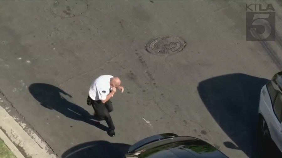 Sky5 captured video of a man being stung by a swarm of bees that shut down a residential neighborhood in Encino on May 15, 2023. (KTLA)