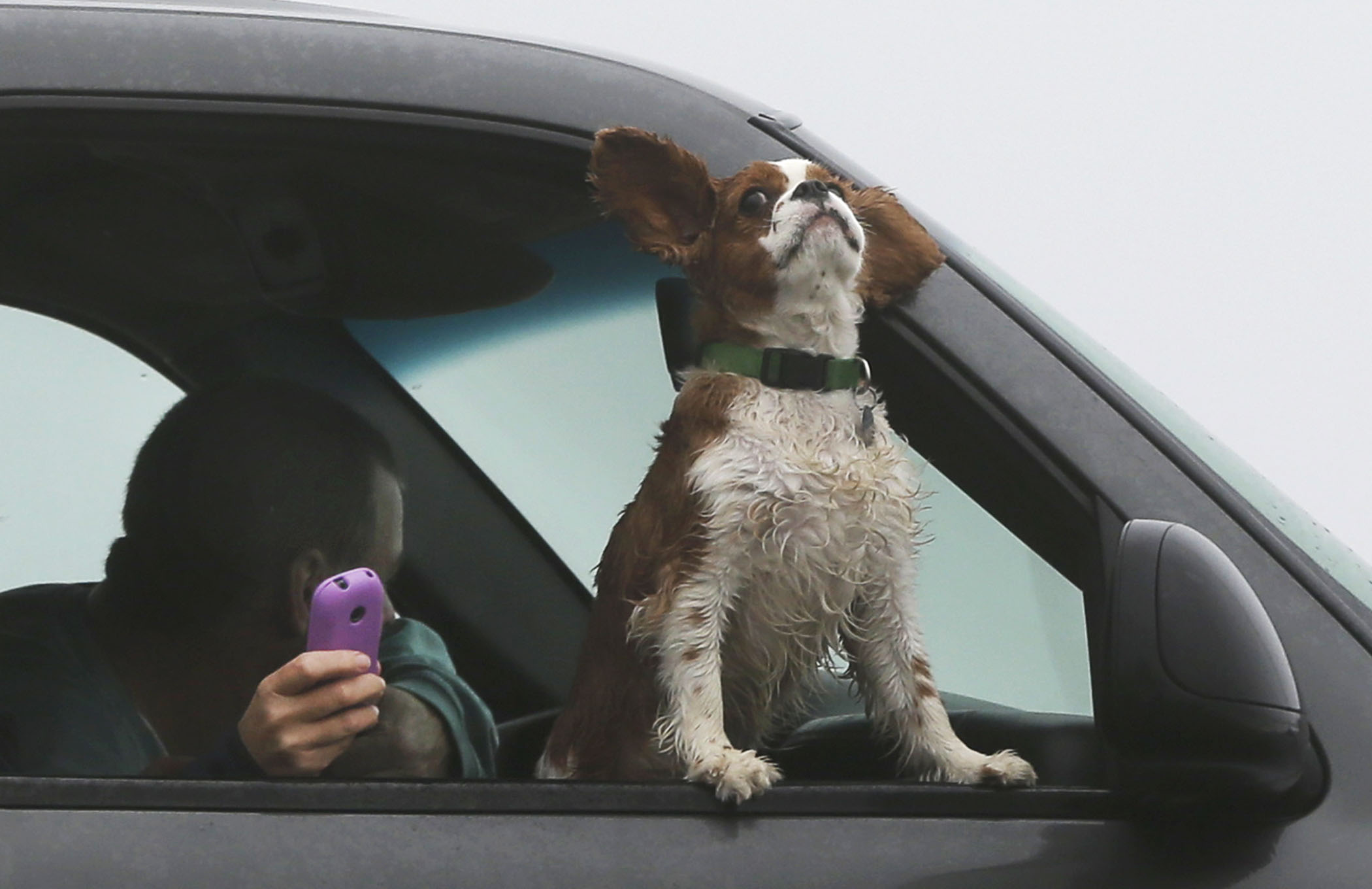 Open car window