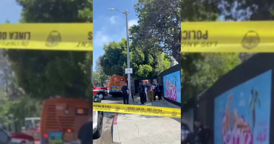 Metro bus stabbing Venice