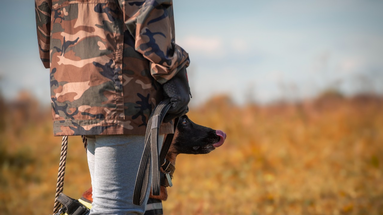 A hunter and a dog are seen in this file photo.